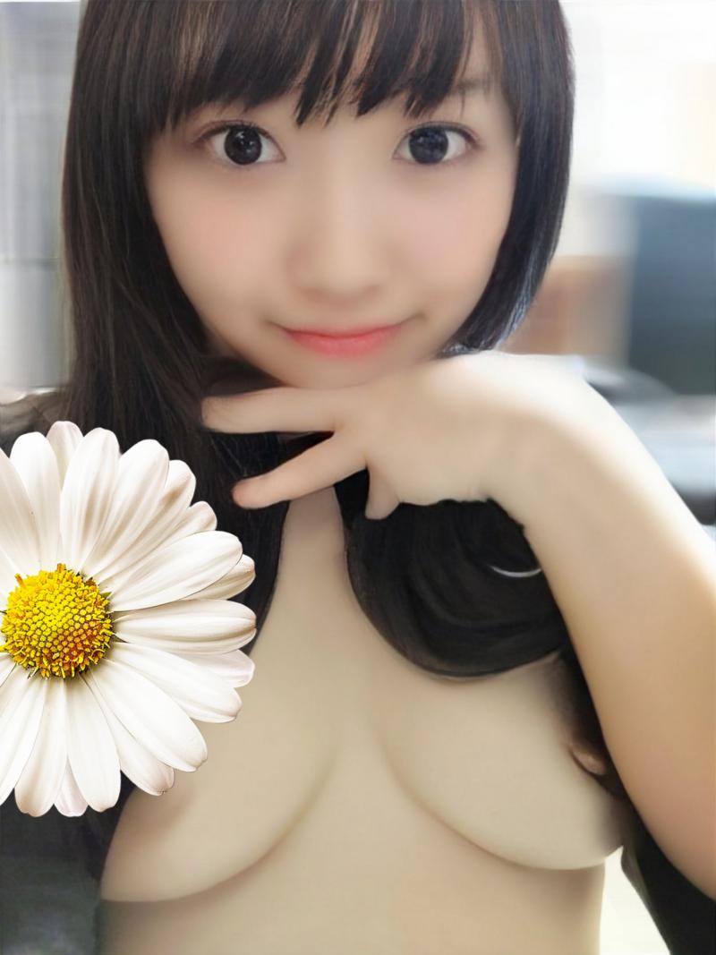 出品者名-写真